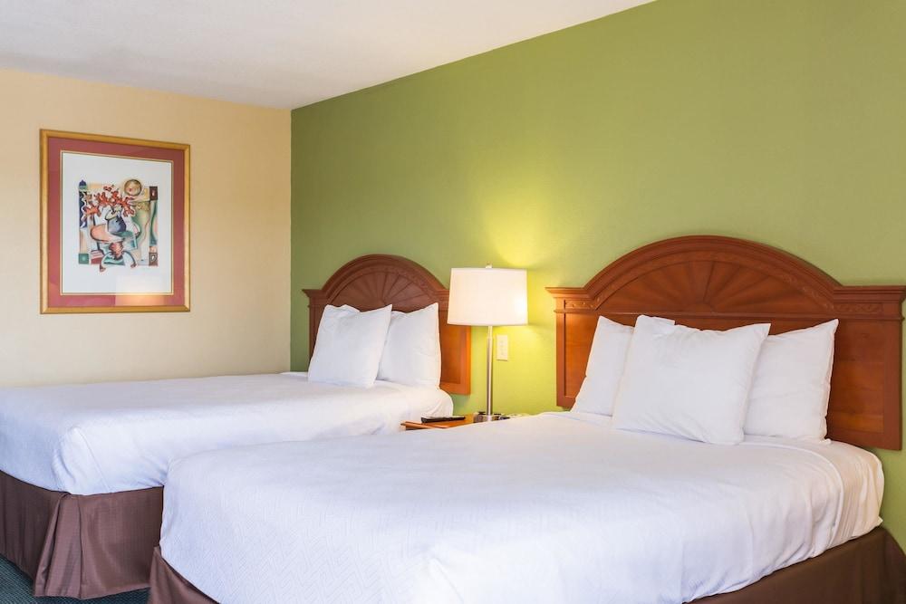 Econo Lodge White Pine Morristown I-81 & I-40 Split المظهر الخارجي الصورة